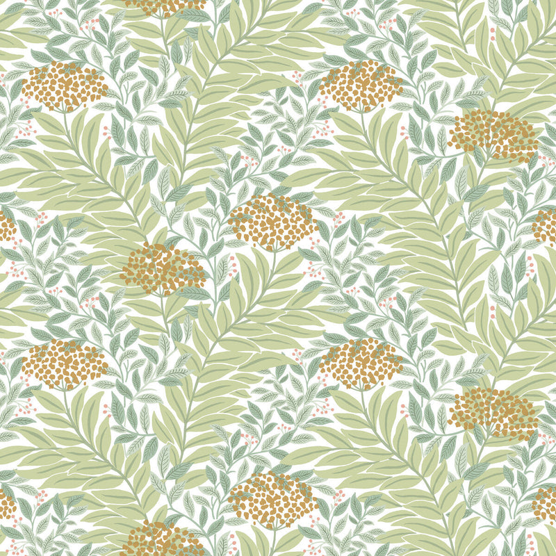 KRAVET DESIGN - KRAVET DESIGN- W4297-340 - Wallcovering by the Roll W4297-340