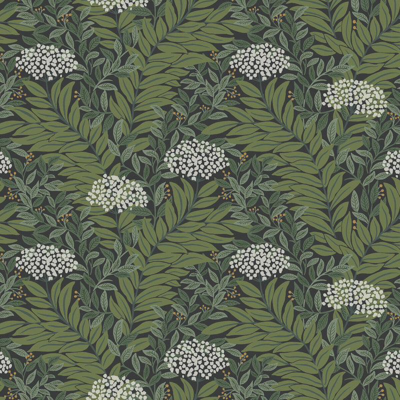 KRAVET DESIGN - KRAVET DESIGN- W4297-830 - Wallcovering by the Roll W4297-830