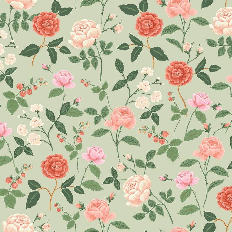 KRAVET DESIGN - KRAVET DESIGN- W4299-312 - Wallcovering by the Roll W4299-312