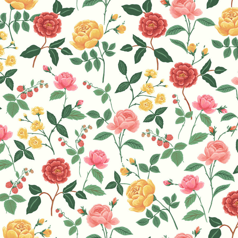 KRAVET DESIGN - KRAVET DESIGN- W4299-317 - Wallcovering by the Roll W4299-317
