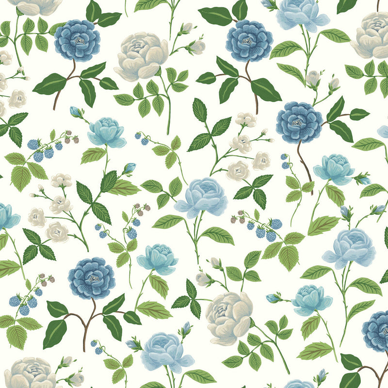 KRAVET DESIGN - KRAVET DESIGN- W4299-51 - Wallcovering by the Roll W4299-51