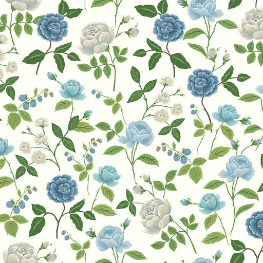 KRAVET DESIGN - KRAVET DESIGN- W4299-51 - Wallcovering by the Roll W4299-51