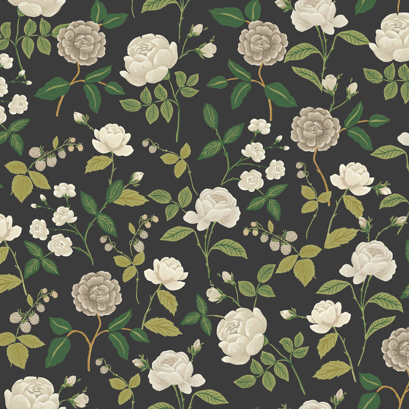 KRAVET DESIGN - KRAVET DESIGN- W4299-811 - Wallcovering by the Roll W4299-811