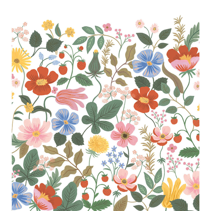 KRAVET DESIGN - KRAVET DESIGN- W4303-517 - Wallcovering by the EACH W4303-517
