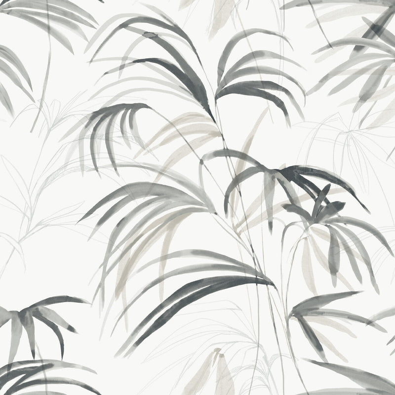 KRAVET DESIGN - KRAVET DESIGN- W4305-21 - Wallcovering by the Roll W4305-21