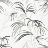 KRAVET DESIGN - KRAVET DESIGN- W4305-21 - Wallcovering by the Roll