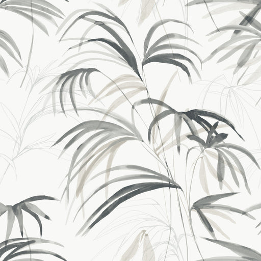 KRAVET DESIGN - KRAVET DESIGN- W4305-21 - Wallcovering by the Roll W4305-21
