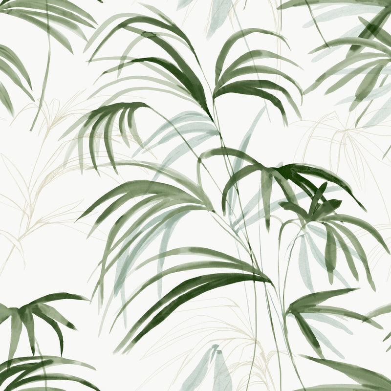 KRAVET DESIGN - KRAVET DESIGN- W4305-31 - Wallcovering by the Roll W4305-31