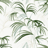 KRAVET DESIGN - KRAVET DESIGN- W4305-31 - Wallcovering by the Roll