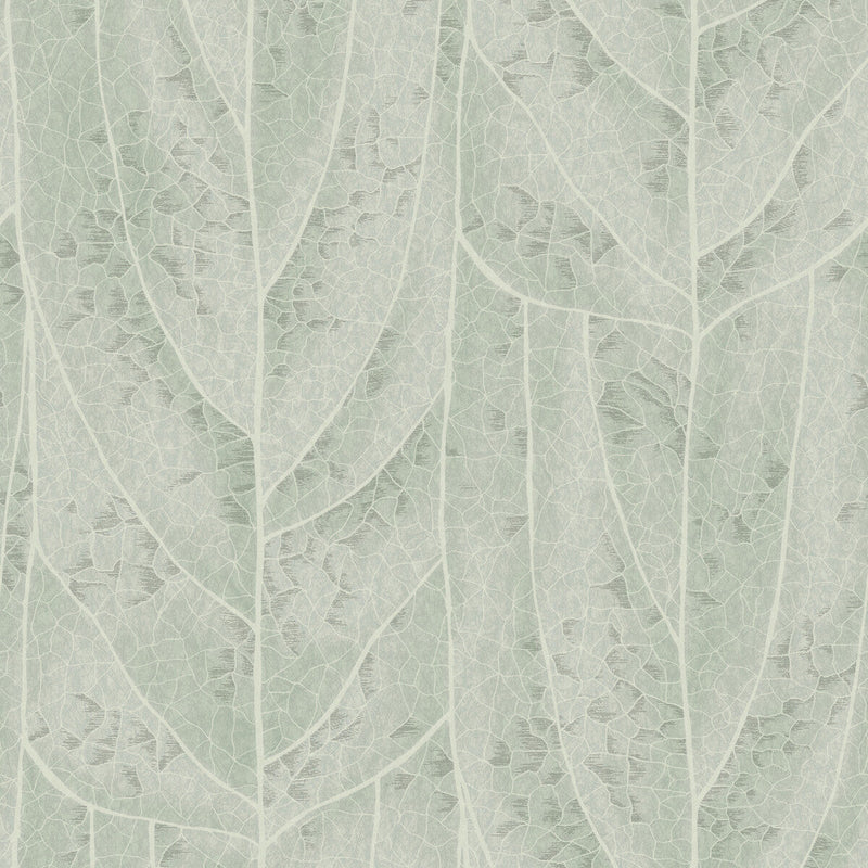 KRAVET DESIGN - KRAVET DESIGN- W4308-135 - Wallcovering by the Roll W4308-135