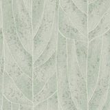 KRAVET DESIGN - KRAVET DESIGN- W4308-135 - Wallcovering by the Roll