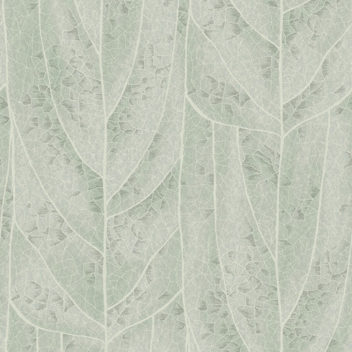 KRAVET DESIGN - KRAVET DESIGN- W4308-135 - Wallcovering by the Roll W4308-135