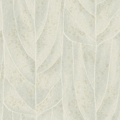 KRAVET DESIGN - KRAVET DESIGN- W4308-15 - Wallcovering by the Roll W4308-15