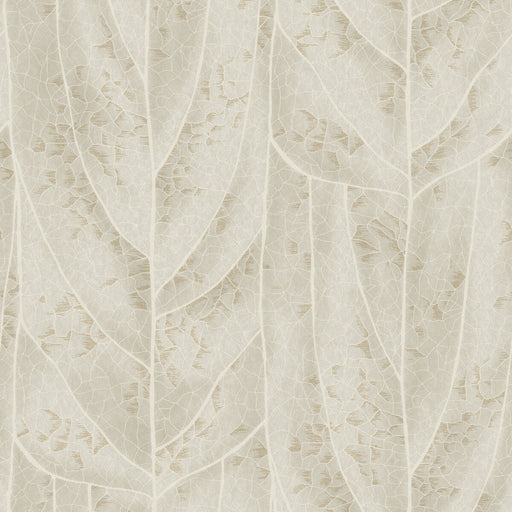 KRAVET DESIGN - KRAVET DESIGN- W4308-16 - Wallcovering by the Roll W4308-16