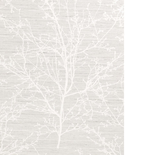 KRAVET DESIGN - KRAVET DESIGN- W4323-11 - Wallcovering by the Roll - W4323_11