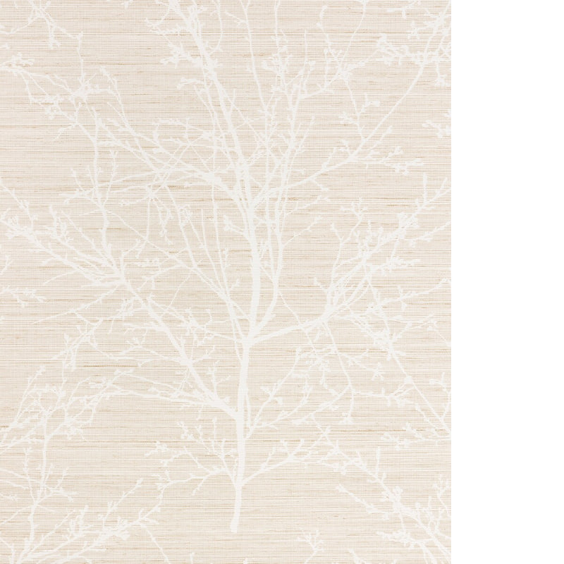 KRAVET DESIGN - KRAVET DESIGN- W4323-16 - Wallcovering by the Roll - W4323_16