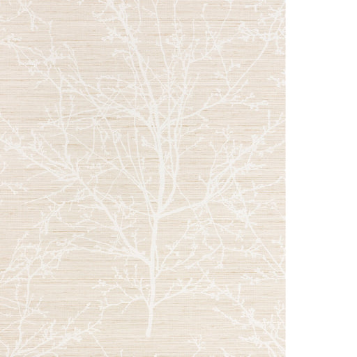 KRAVET DESIGN - KRAVET DESIGN- W4323-16 - Wallcovering by the Roll - W4323_16