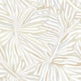 KRAVET COUTURE - FLORA WP- 10576 - Wallcovering by the Roll