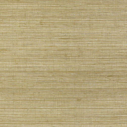 KRAVET COUTURE - RAFFIA WP- 4766 - Wallcovering by the Roll 4766