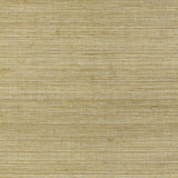 KRAVET COUTURE - RAFFIA WP- 4766 - Wallcovering by the Roll
