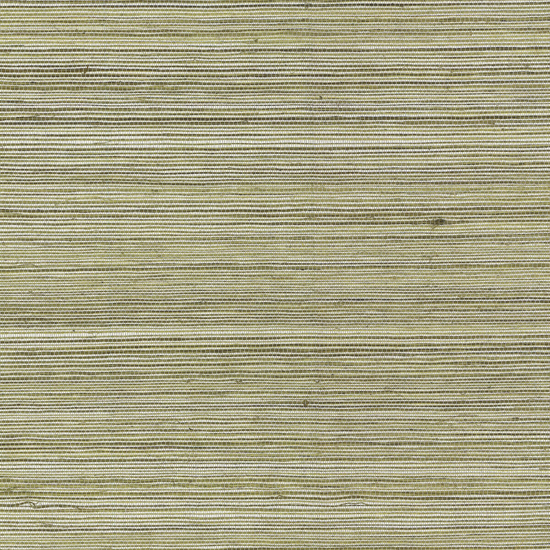 KRAVET COUTURE - RAFFIA WP- 4765 - Wallcovering by the Roll 4765