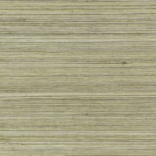 KRAVET COUTURE - RAFFIA WP- 4765 - Wallcovering by the Roll 4765