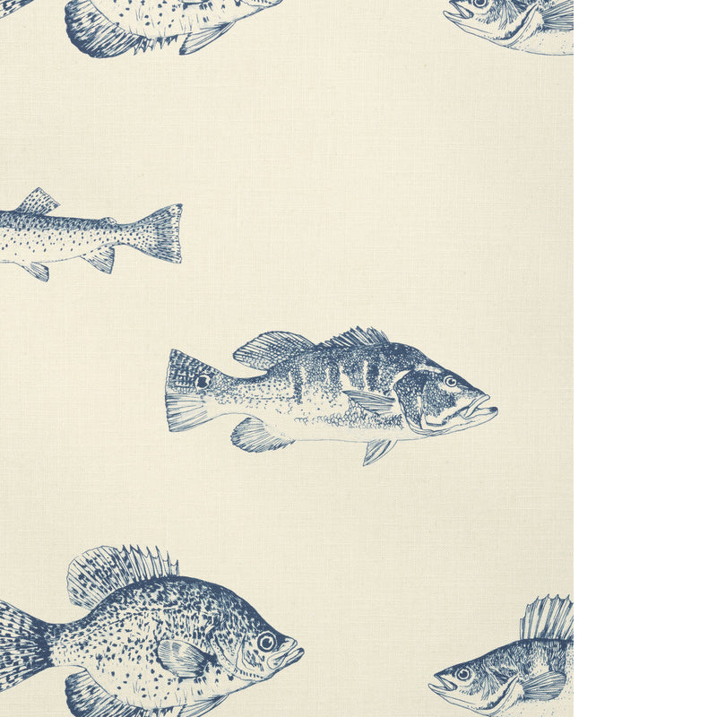KRAVET DESIGN - KRAVET DESIGN- W4358-155 - Wallcovering by the Roll W4358-155