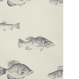 KRAVET DESIGN - KRAVET DESIGN- W4358-21 - Wallcovering by the Roll
