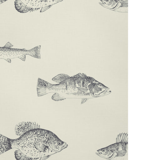 KRAVET DESIGN - KRAVET DESIGN- W4358-21 - Wallcovering by the Roll W4358-21