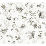 KRAVET DESIGN - KRAVET DESIGN- W4415-8 - Wallcovering by the Roll