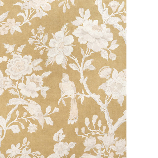 KRAVET COUTURE - SYMPHONY MICA WP- GOLD - Wallcovering by the Roll GOLD