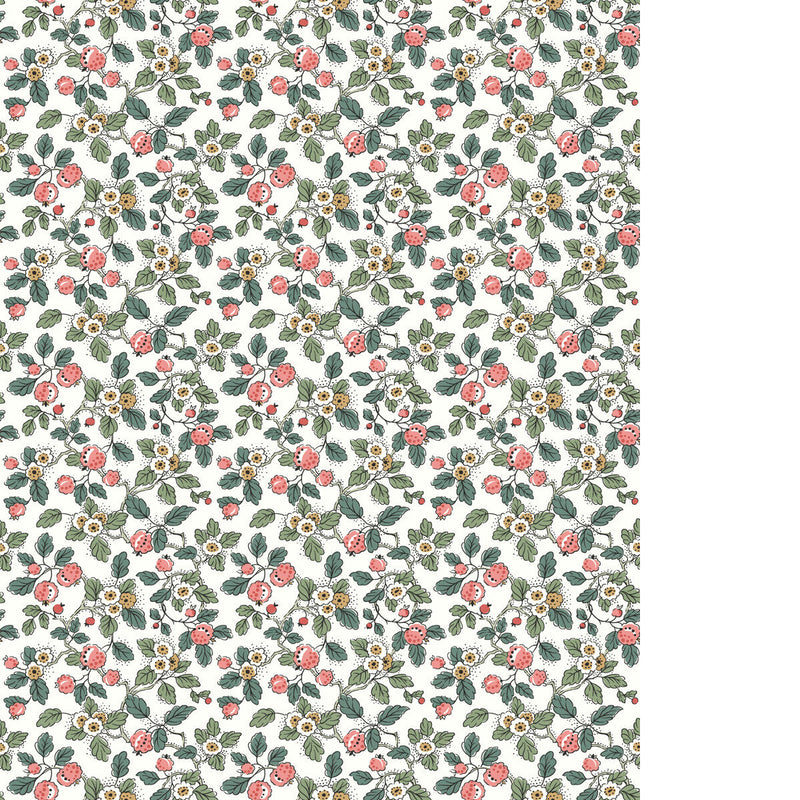 KRAVET DESIGN - KRAVET DESIGN - W4492-735 - Wallpaper By The ROLL