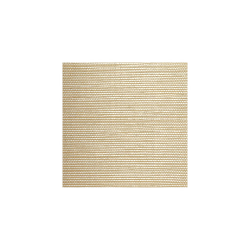 WINFIELD THYBONY - WBG5101 - PLAIN GROUNDS - Wallpaper By the Yard