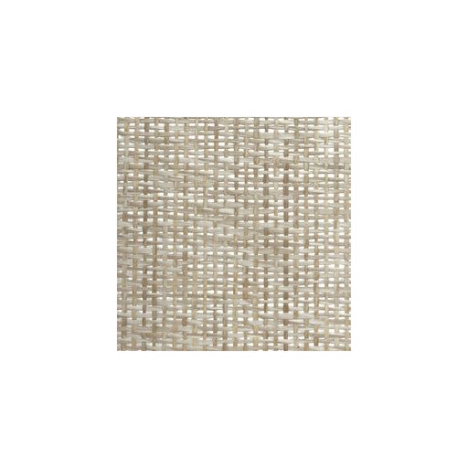 WINFIELD THYBONY - WBG5117P - PAPERWEAVEP - Wallpaper By the Yard