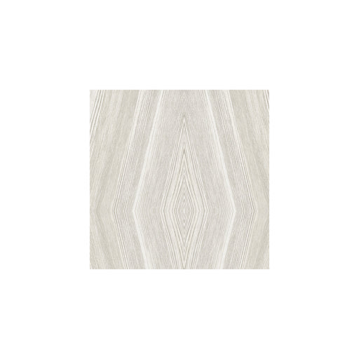 WINFIELD THYBONY - WBP10905 - CROSSCUT - Wallpaper By the Roll