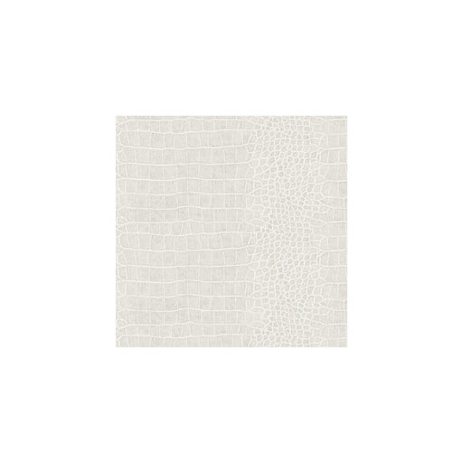 WINFIELD THYBONY - WBP11107 - KENYA - Wallpaper By the Roll