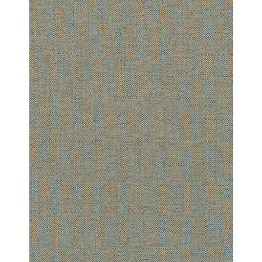 WINFIELD THYBONY - WDW2333 - BARRON - Wallpaper By the Yard