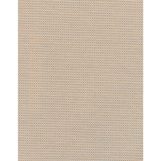 WINFIELD THYBONY - WDW2359 - CAMILLE - Wallpaper By the Yard