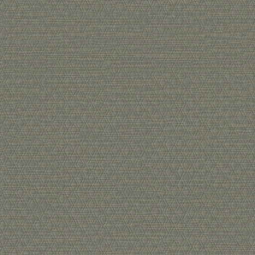 WINFIELD THYBONY - WHF3105 - ARCHETYPE - Wallpaper By the Yard