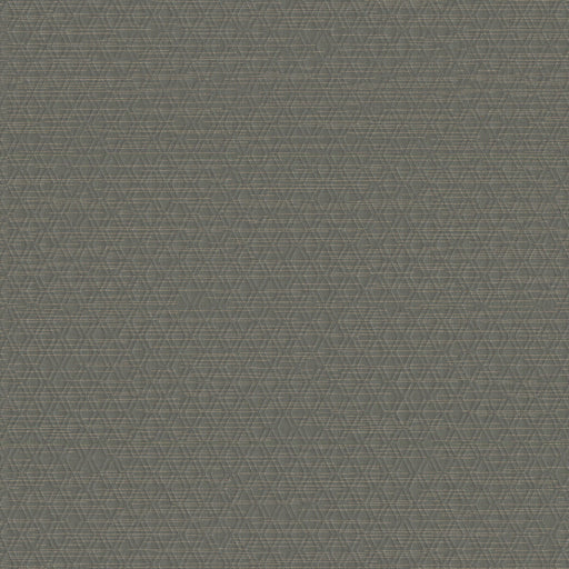 WINFIELD THYBONY - WHF3110 - ARCHETYPE - Wallpaper By the Yard