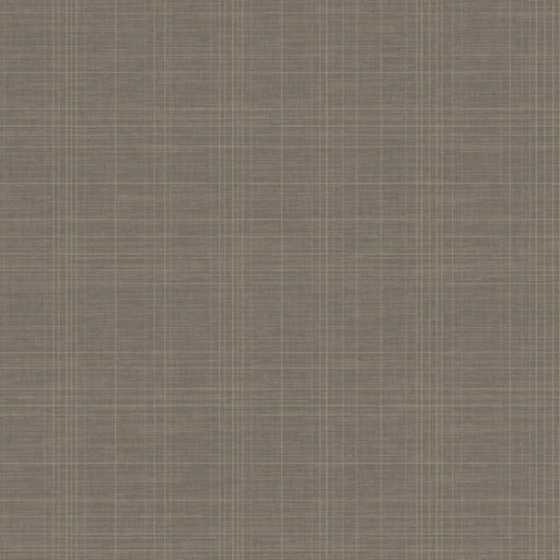 WINFIELD THYBONY - WHF3688 - TANNIN TRACE - Wallpaper By the Yard