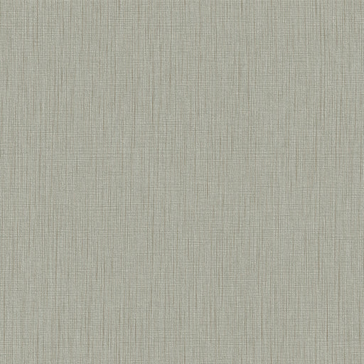 WINFIELD THYBONY - WHF3781 - MERINO - Wallpaper By the Yard