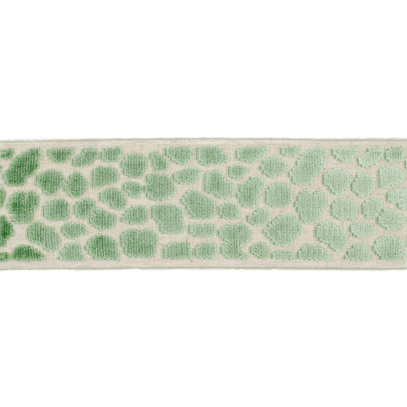 WILDER TAPE - CARIBBEAN GREEN - Mag Fabrics - Trim By The Yard