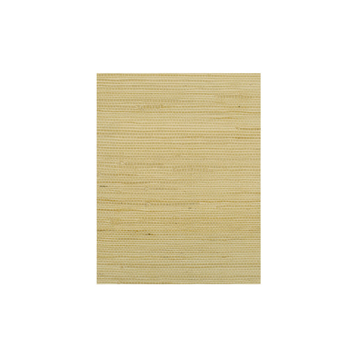 WINFIELD THYBONY - WIW2501 - MONTEGO - Wallpaper By the Yard