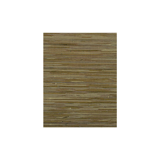 WINFIELD THYBONY - WIW2507 - MONTEGO - Wallpaper By the Yard