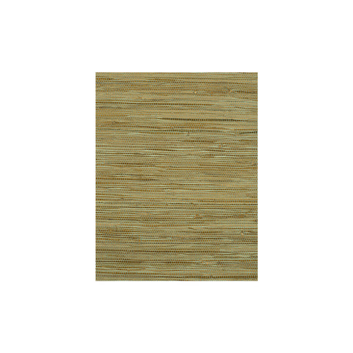 WINFIELD THYBONY - WIW2508 - MONTEGO - Wallpaper By the Yard