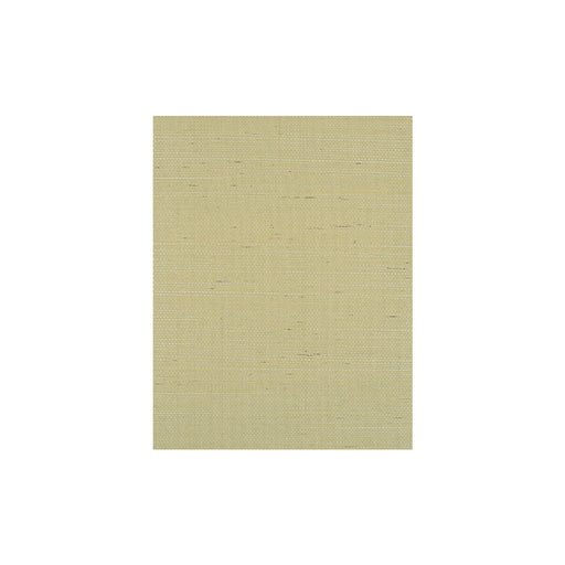 WINFIELD THYBONY - WIW2510 - BERMUDA - Wallpaper By the Yard