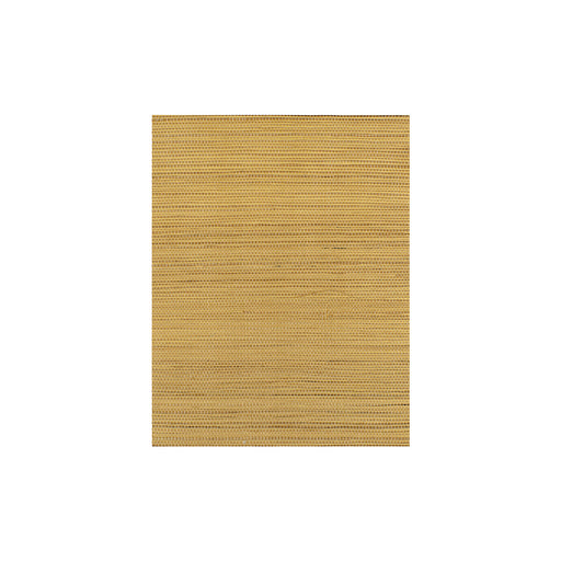 WINFIELD THYBONY - WIW2511 - BERMUDA - Wallpaper By the Yard