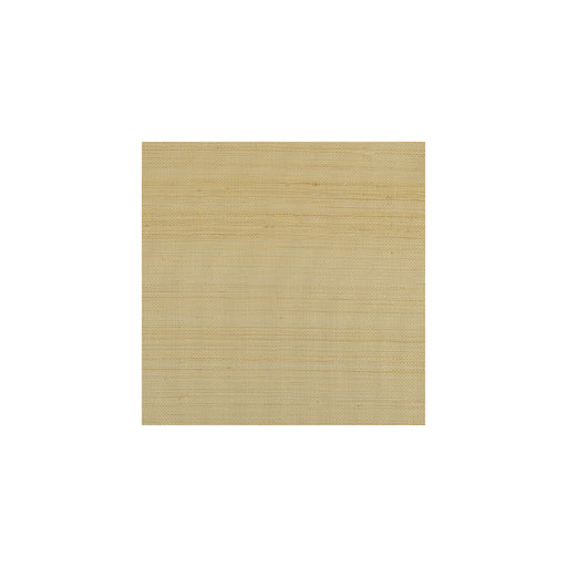 WINFIELD THYBONY - WIW2520P - BERMUDA - Wallpaper By the Yard