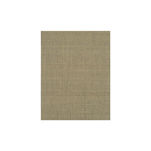 WINFIELD THYBONY - WIW2540 - NEGRIL - Wallpaper By the Yard